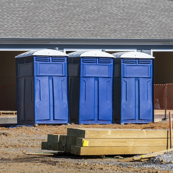 how often are the portable restrooms cleaned and serviced during a rental period in Village of the Branch